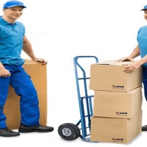 Moving Cast Estimator